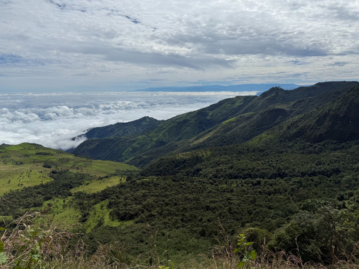 Los picos andinos sobre el mar de nubes