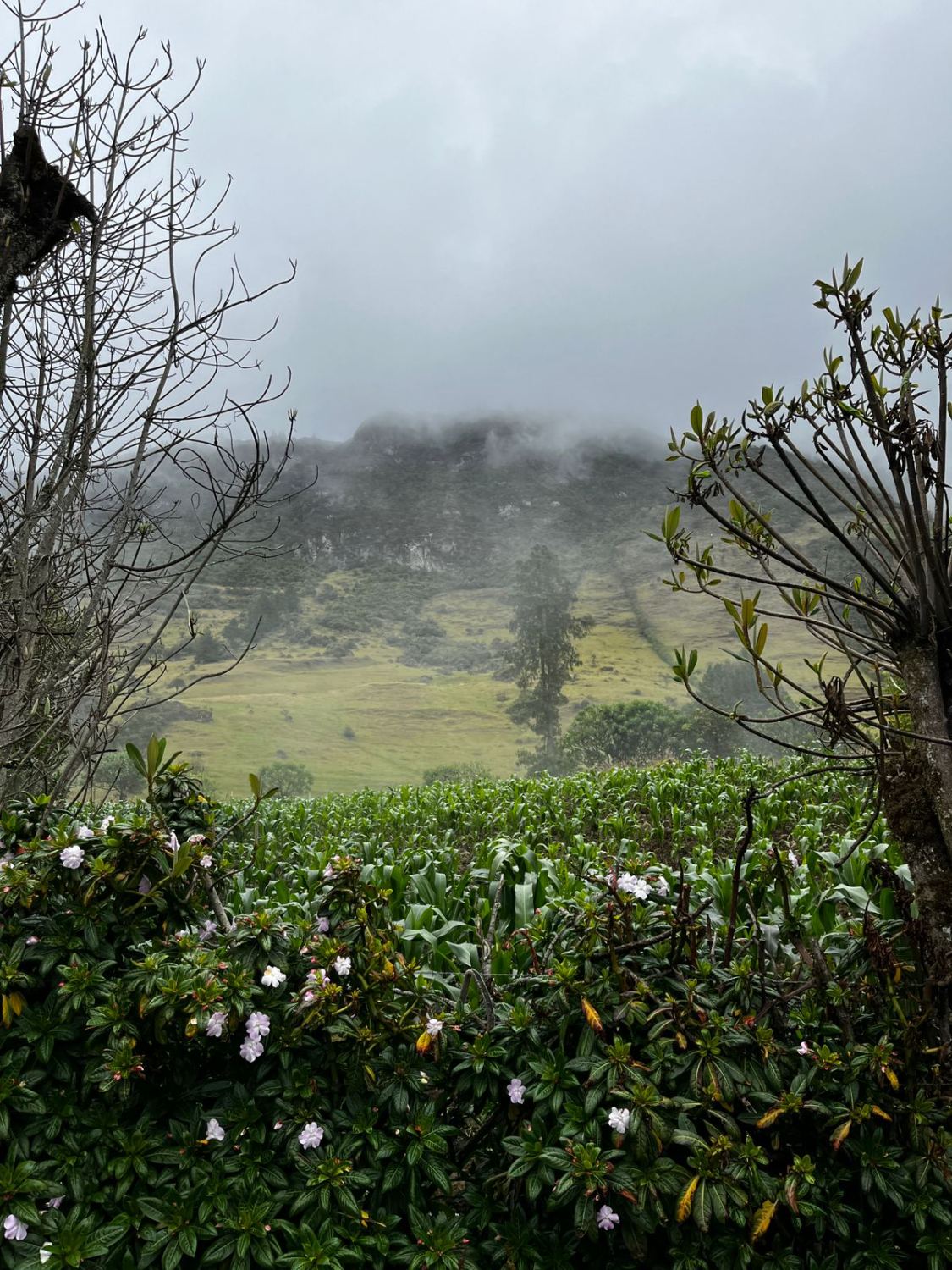 Los cerros de Huasipamba cubiertos de neblina